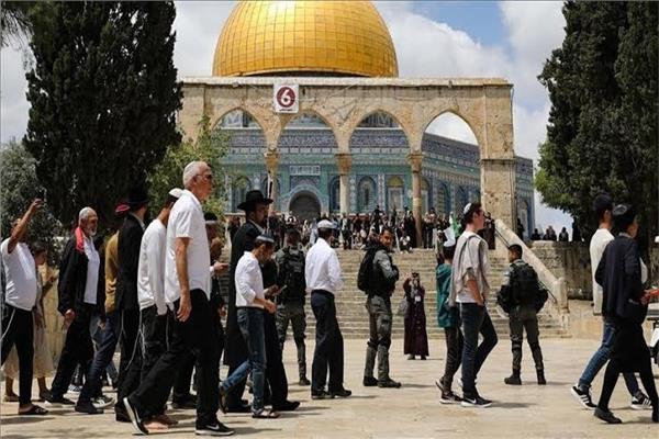 صورة “الأقصى يقاوم”.. حملة إعلامية عربية لفضح اقتحامات ومخططات الاحتلال