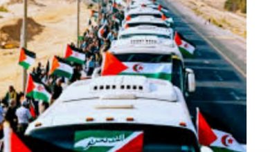 صورة *بيان تحية وتقدير من منتدى الإعلاميين الفلسطينيين*