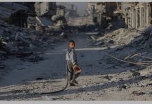 صورة فلسطين… كلام أقلّ صورة أكثر آراء