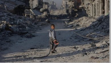 صورة فلسطين… كلام أقلّ صورة أكثر آراء